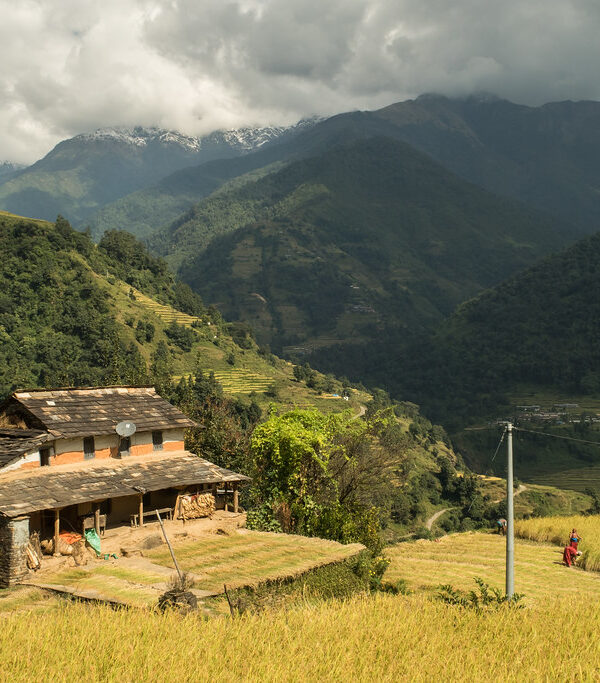 mardi-himal-treks