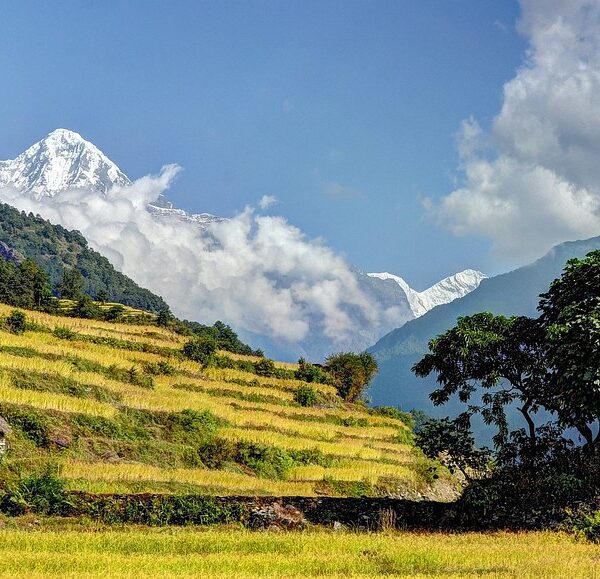 trek-to-annapurna-base-camp